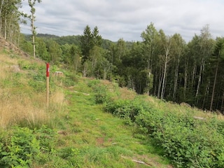 Vakantiehuis Uddevalla  22