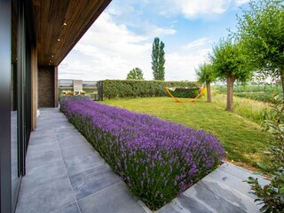 Casa de vacaciones Poperinge Grabación al aire libre 6