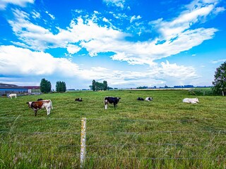 Holiday house Poperinge Environment 31