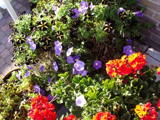 Appartamento Domburg Ambiente 17