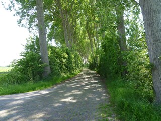 Vakantiehuis Aagtekerke Omgeving 35