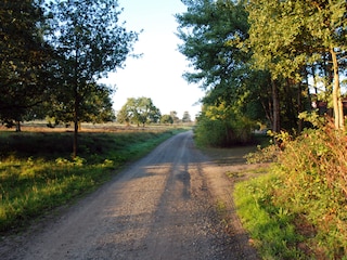 Unser Weg mit Hofauffahrt rechts