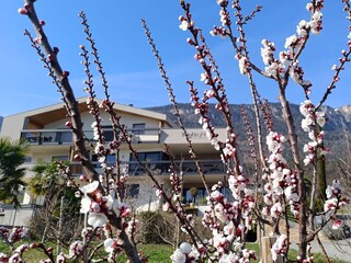 Vakantieappartement Eppan Buitenaudio-opname 5