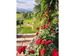 Vakantieappartement Eppan Buitenaudio-opname 7