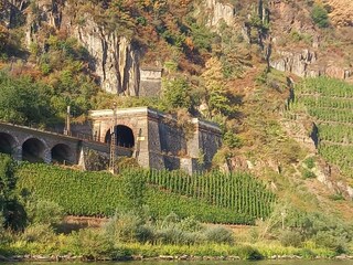 Viadukt gegenüber von Pünderich