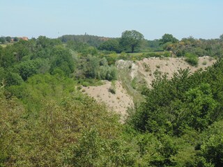 Vakantiehuis Tronget Omgeving 35