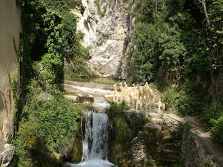 Vakantiehuis Les Salles-sur-Verdon Omgeving 28