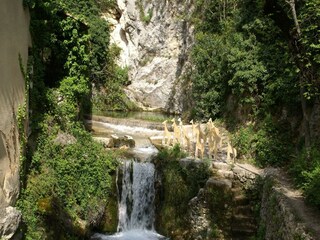 Holiday house Les Salles-sur-Verdon Environment 24
