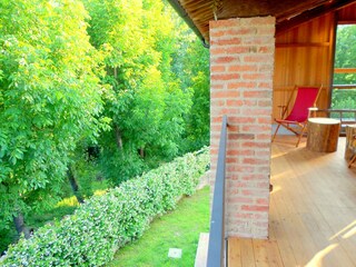Type de propriété : Ferme Asolo Enregistrement extérieur 3