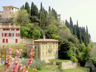Type de propriété : Ferme Asolo Environnement 18