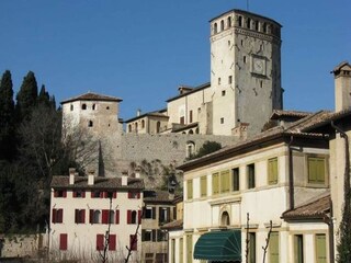 Type de propriété : Ferme Asolo Environnement 22