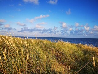 Vakantiehuis Blåvand  41