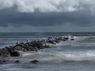Vakantiehuis Blåvand  43
