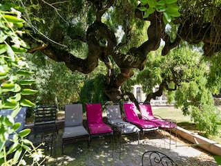 Schloss La Pomarède Außenaufnahme 4