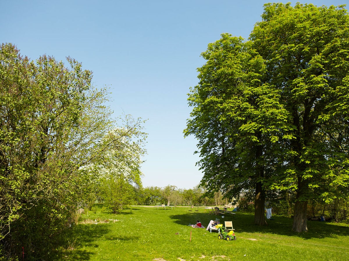 Blick in 6.000 qm großen Garten