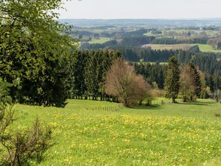 Ferienhaus Robertville Umgebung 32