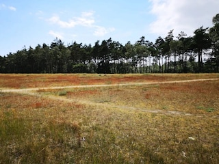 Parc de vacances Marielyst  43