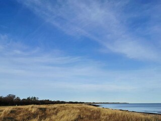 Vakantiepark Marielyst  58