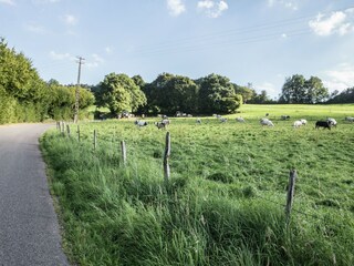 Ferienhaus Heyd Umgebung 26