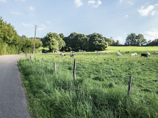 Holiday house Heyd Environment 26