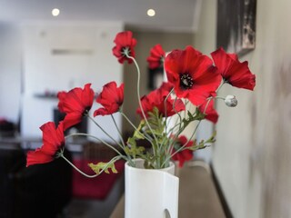 Casa per le vacanze Heyd  30