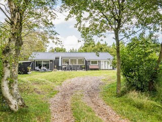 Vakantiehuis Blåvand Buitenaudio-opname 4