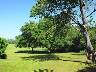 Holiday house Ellös  20