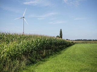 Apartamento Brecht Entorno 21