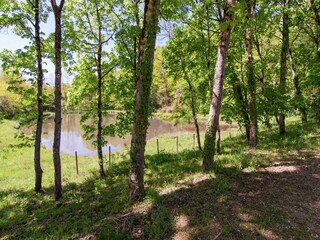 Bungalow Ecuras Environment 25