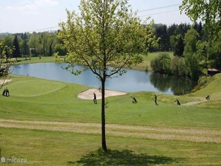 Bungalow Ecuras Environment 26