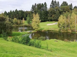 Bungalow Ecuras Environnement 27