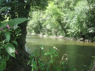 Casa per le vacanze Hamoir Ambiente 32
