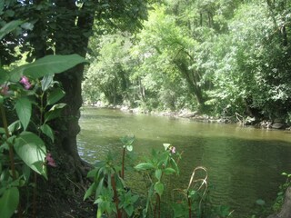 Casa per le vacanze Hamoir Ambiente 33