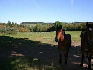 Ferienhaus Amel Umgebung 39