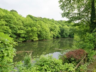 Vakantiehuis Robertville Buitenaudio-opname 10