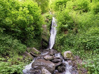 Holiday house Robertville Environment 34