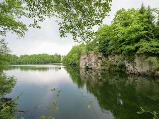 Vakantiehuis Robertville Buitenaudio-opname 3