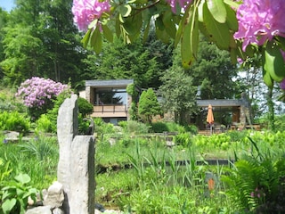 Holiday house Robertville Outdoor Recording 11