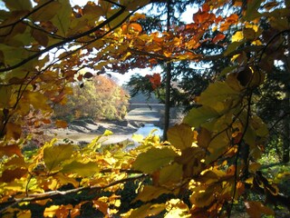 Vakantiehuis Robertville Omgeving 33