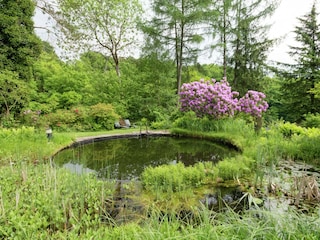 Holiday house Robertville Outdoor Recording 7