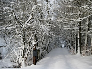 Holiday house Robertville Outdoor Recording 8