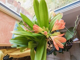 Holiday house La Jonchère-Saint-Maurice  27