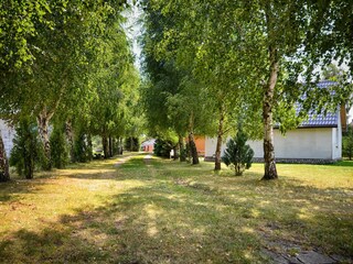 Ferienhaus Darlowo Außenaufnahme 6