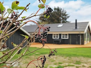 Ferienhaus Løkken  11