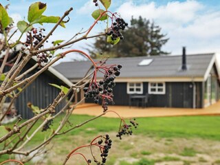 Holiday house Saltum  9