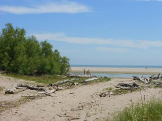 Vakantiehuis Albarella Omgeving 11