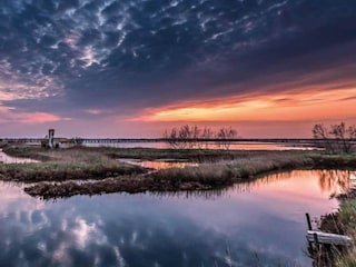 Holiday house Albarella Environment 25