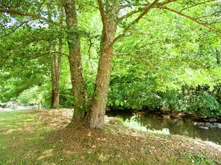 Vakantiehuisje Saint-Médard-d'Excideuil Buitenaudio-opname 7