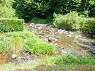 Holiday cottage Saint-Médard-d'Excideuil Environment 25