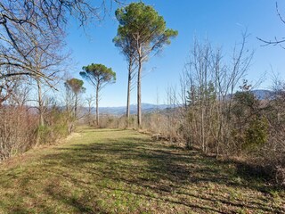 Vakantiehuis Borgo San Lorenzo Omgeving 34